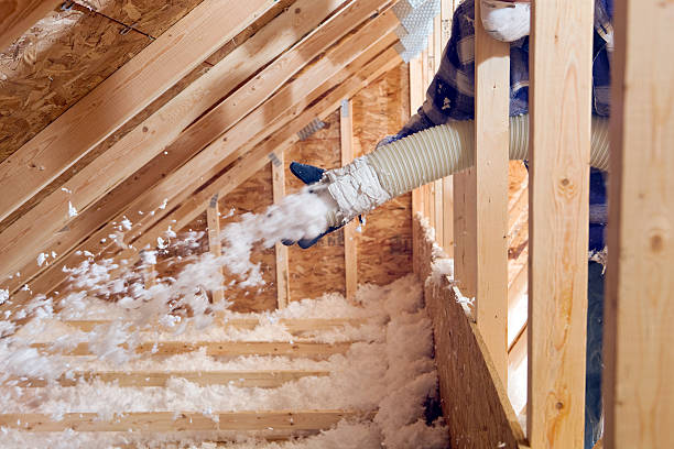 Best Basement Insulation  in USA